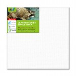 Learner Canvas 20x20cm Single Thick