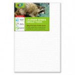 Value Pack 5Pcs 60x90cm Blank Canvas