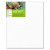 Value Pack 5Pcs  20x25cm Blank Canvas